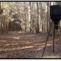 110 Acres in Noxubee County in Macon  MS images 6