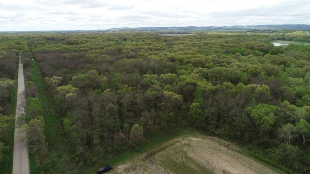 Great Deer and Duck Property in North Eastern Sauk County featured image