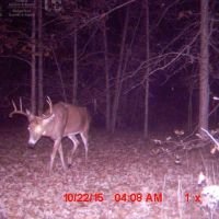 Great Deer and Duck Property in North Eastern Sauk County images 2