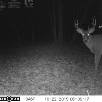 Great Deer and Duck Property in North Eastern Sauk County images 4
