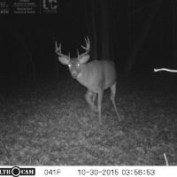 Great Deer and Duck Property in North Eastern Sauk County images 5