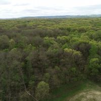 Great Deer and Duck Property in North Eastern Sauk County images 6