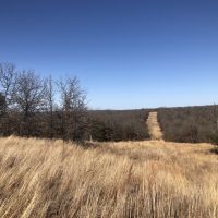 160 Hunting images 2