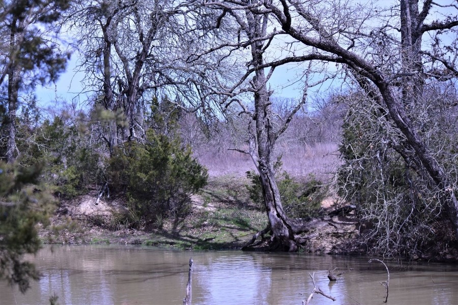 Hunting &nbsp; Recreational Land For Sale in Robertson County  TX featured image