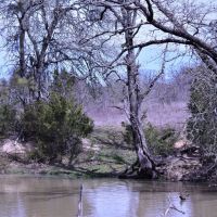 Hunting &nbsp; Recreational Land For Sale in Robertson County  TX