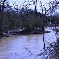Hunting &nbsp; Recreational Land For Sale in Robertson County  TX images 2
