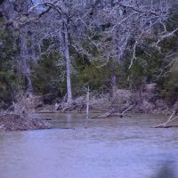 Hunting &nbsp; Recreational Land For Sale in Robertson County  TX images 3