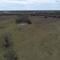 Hunting &nbsp; Recreational Land For Sale in Robertson County  TX images 4