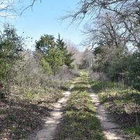 Hunting &nbsp; Recreational Land For Sale in Robertson County  TX images 5