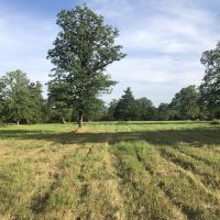 Aday Ranch images 4