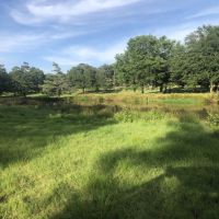 Aday Ranch images 5