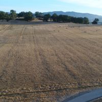 Douglas County Wine Development images 2