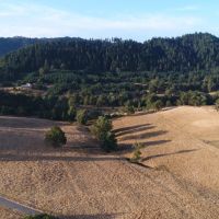 Douglas County Wine Development images 5