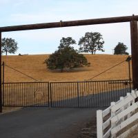 Douglas County Wine Development images 6