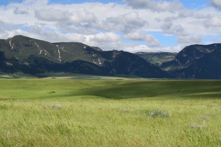 Tate Land featured image