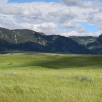 Tate Land images 1