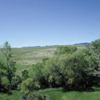 Tate Land images 2