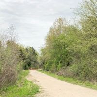 158 Acres &nbsp; CR 4308 &nbsp; Tract 1004