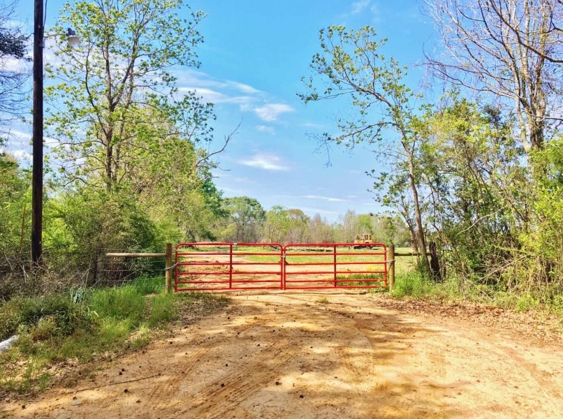 479 Acre Large Land Tract for Sale East Feliciana Parish  LA featured image