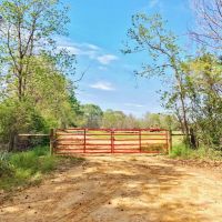 479 Acre Large Land Tract for Sale East Feliciana Parish  LA