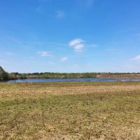 479 Acre Large Land Tract for Sale East Feliciana Parish  LA images 2