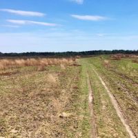 479 Acre Large Land Tract for Sale East Feliciana Parish  LA images 3