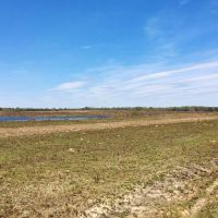 479 Acre Large Land Tract for Sale East Feliciana Parish  LA images 5