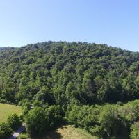 Riverfront Hunting Property for Sale Sneedville Tennessee images 4