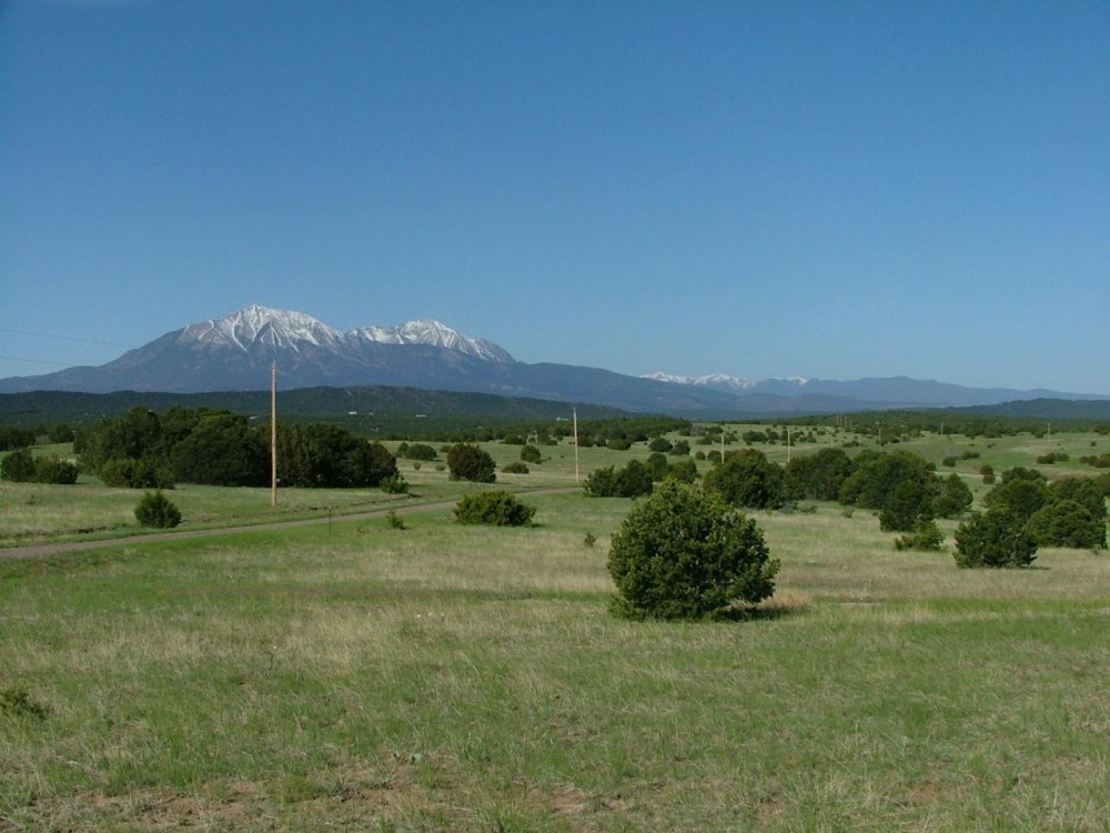 70 Silver Spurs Ranch featured image