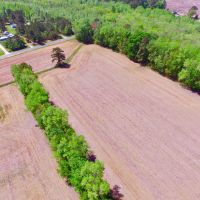 Farm Hunting tract for sale Beaufort Pitt County  NC line images 4