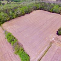 Farm Hunting tract for sale Beaufort Pitt County  NC line images 3
