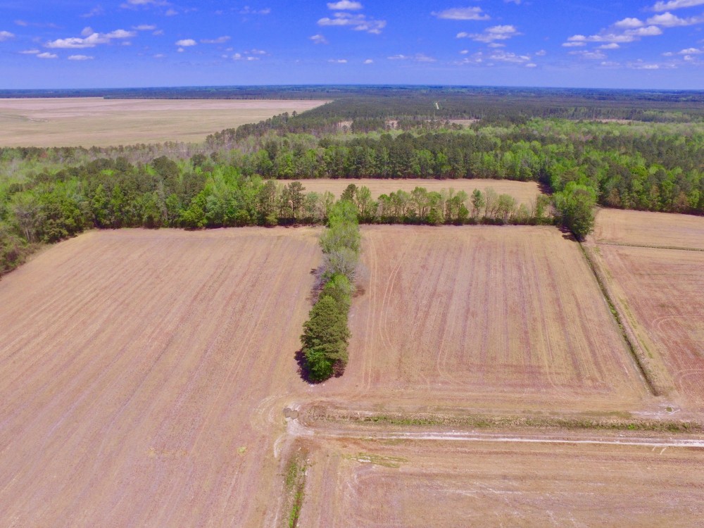 Farm Hunting tract for sale Beaufort Pitt County  NC line featured image