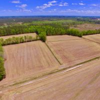 Farm Hunting tract for sale Beaufort Pitt County  NC line images 5