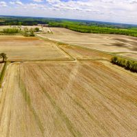 Farm Hunting tract for sale Beaufort Pitt County  NC line images 6