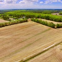 Farm Hunting tract for sale Beaufort Pitt County  NC line images 2
