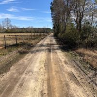 Snowbird Lane images 2