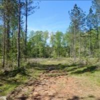 86.3 Acres in Carroll County in Carrollton  MS images 3
