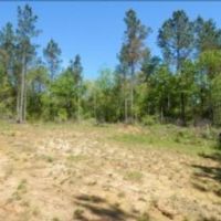 86.3 Acres in Carroll County in Carrollton  MS images 5