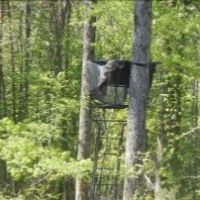 86.3 Acres in Carroll County in Carrollton  MS images 6