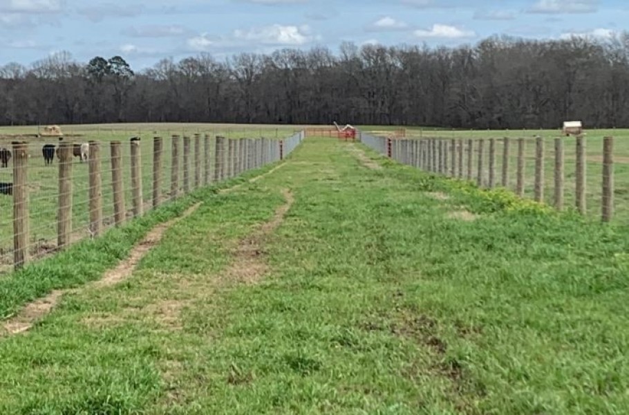 310 Acres in Claiborne County in Port Gibson  MS featured image