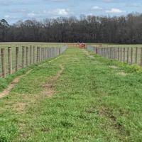 310 Acres in Claiborne County in Port Gibson  MS