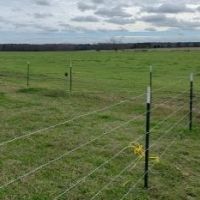 310 Acres in Claiborne County in Port Gibson  MS images 2