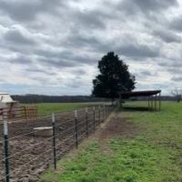 310 Acres in Claiborne County in Port Gibson  MS images 3