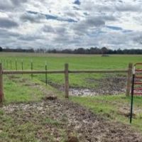 310 Acres in Claiborne County in Port Gibson  MS images 4