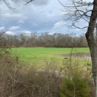 310 Acres in Claiborne County in Port Gibson  MS images 6