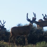 East Timberlake Ranch images 6