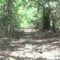 220 Acres in Carroll County in McCarley  MS images 2