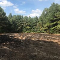 220 Acres in Carroll County in McCarley  MS images 3