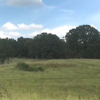 220 Acres in Carroll County in McCarley  MS images 4