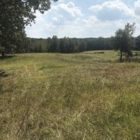 220 Acres in Carroll County in McCarley  MS images 5